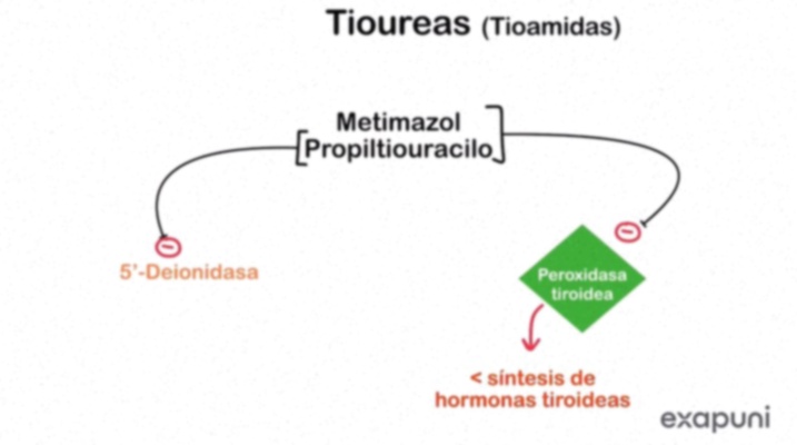 metimazol